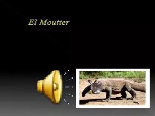 el moutter