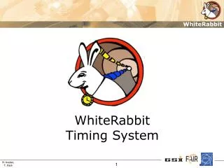 WhiteRabbit Timing System
