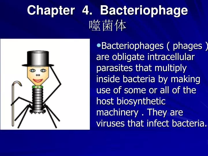 chapter 4 bacteriophage