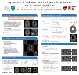 Segmentation of Cerebrovascular Pathologies in Stroke Patients with Spatial and Shape Priors