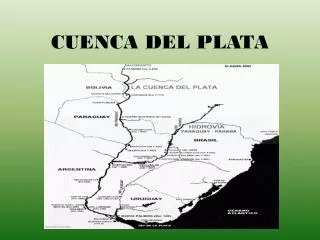 cuenca del plata
