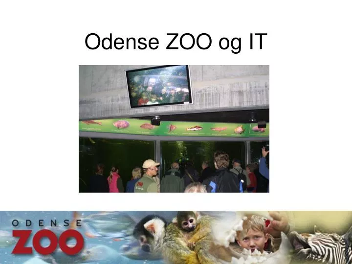odense zoo og it
