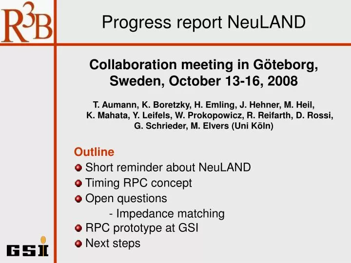 progress report neuland