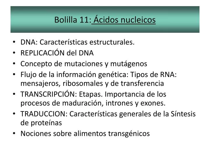 bolilla 11 cidos nucleicos