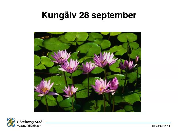 kung lv 28 september