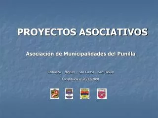 proyectos asociativos