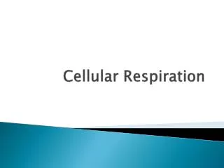 Cellular Respiration