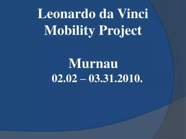 leonardo da vinci mobility project