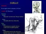 CUELLO - slide 1