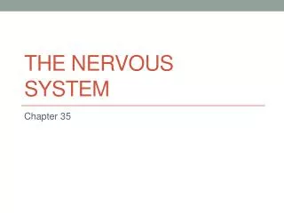 The Nervous System