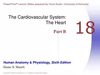 The Cardiovascular System: The Heart Part B