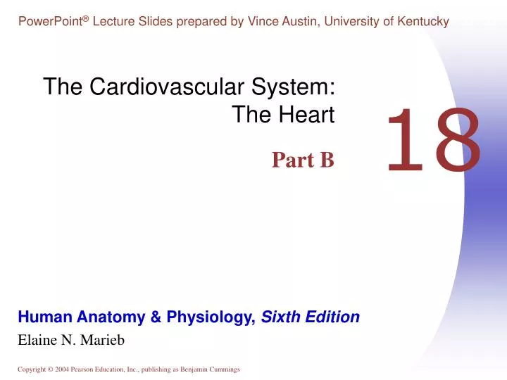 the cardiovascular system the heart part b