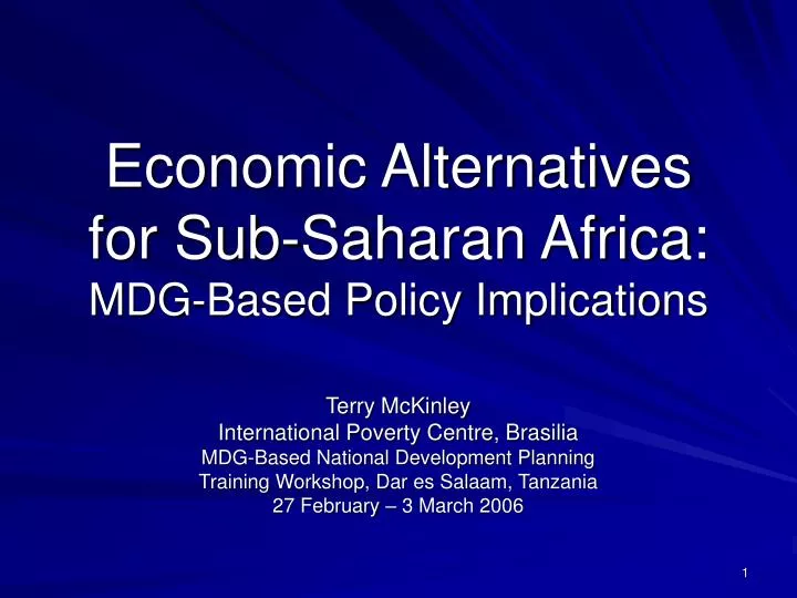 economic alternatives for sub saharan africa mdg based policy implications