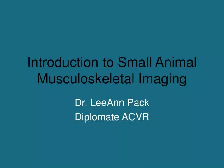 introduction to small animal musculoskeletal imaging
