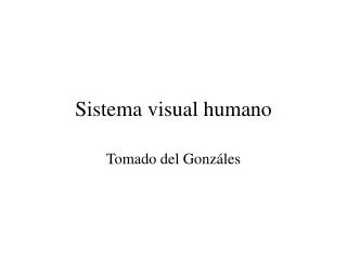 sistema visual humano