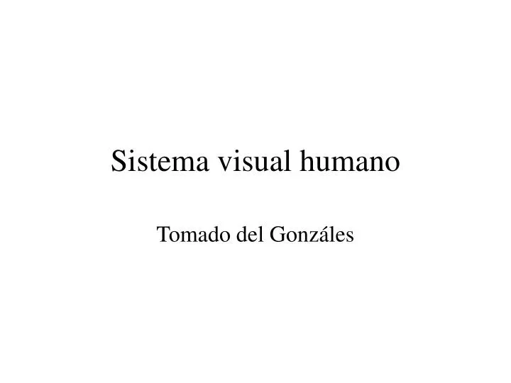 sistema visual humano
