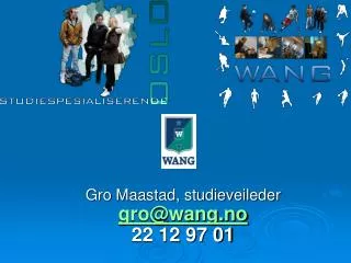 gro maastad studieveileder gro@wang no 22 12 97 01