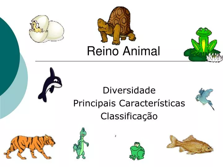 reino animal