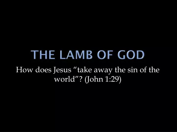 the lamb of god