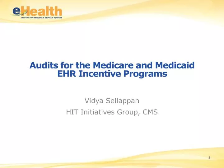 audits for the medicare and medicaid ehr incentive programs