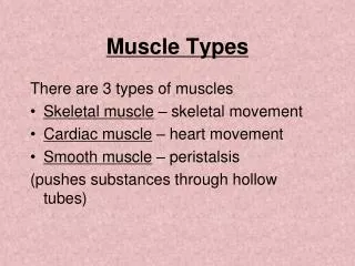 Muscle Types
