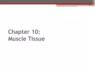 Chapter 10: Muscle Tissue