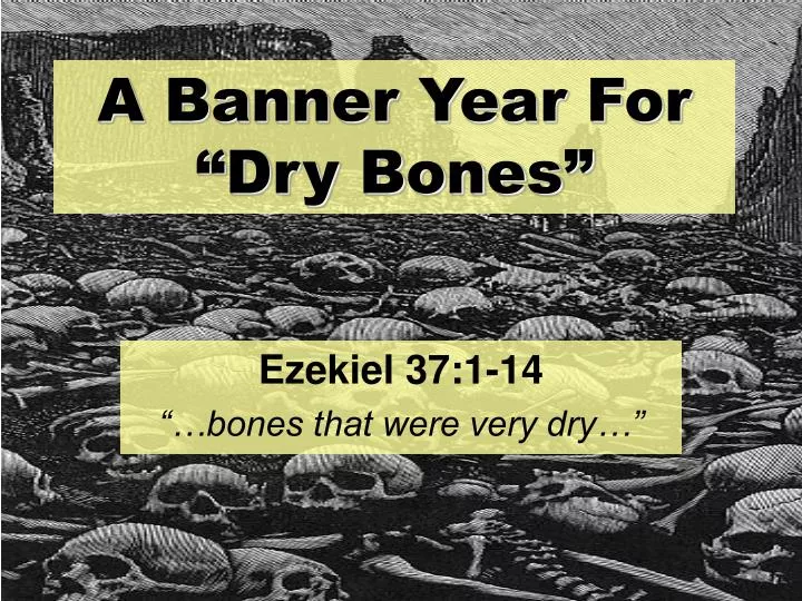 a banner year for dry bones