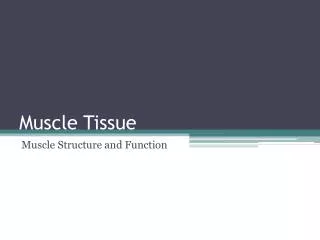 Muscle Tissue