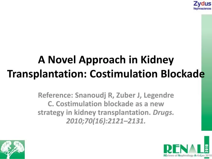 a novel approach in kidney transplantation costimulation blockade