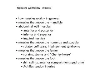 Today and Wednesday – muscles!