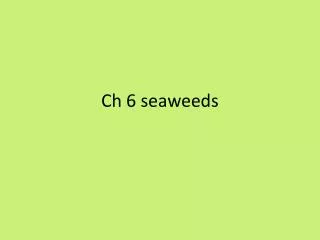 Ch 6 seaweeds