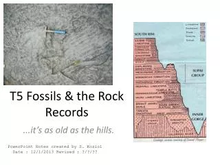 T5 Fossils &amp; the Rock Records
