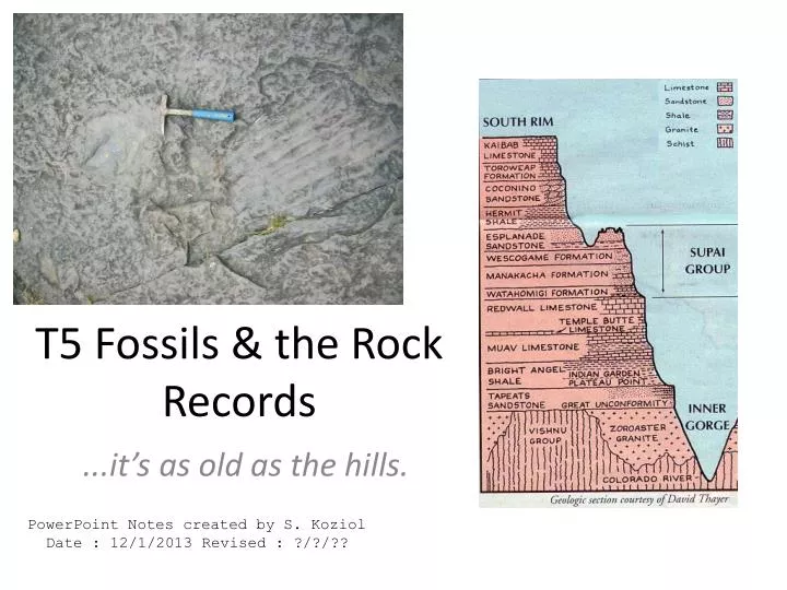 t5 fossils the rock records