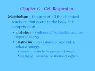 chapter 6 cell respiration