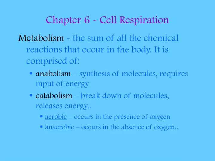 chapter 6 cell respiration