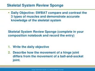 skeletal system review sponge