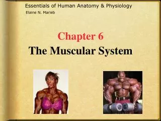 Essentials of Human Anatomy &amp; Physiology