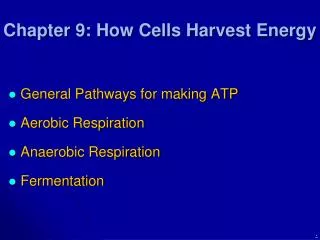 Chapter 9: How Cells Harvest Energy