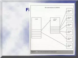 File Systems