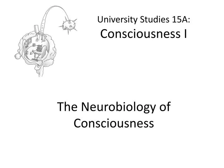 university studies 15a consciousness i