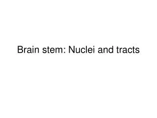 Brain stem: Nuclei and tracts