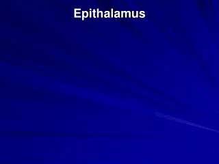 Epithalamus