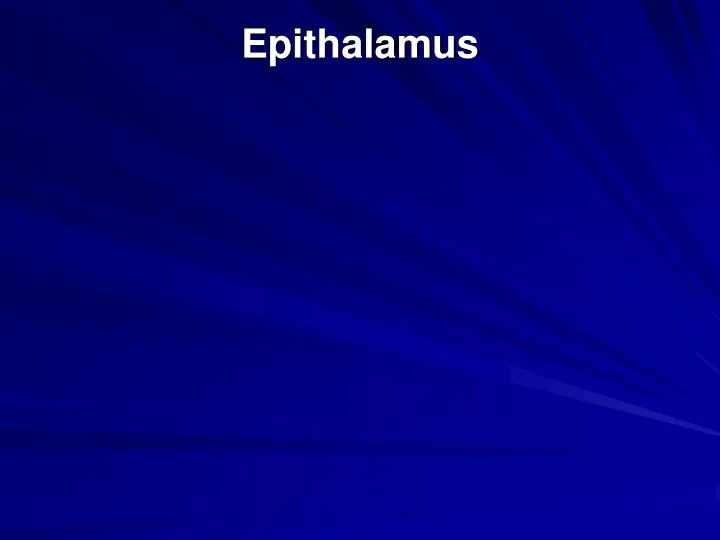 epithalamus