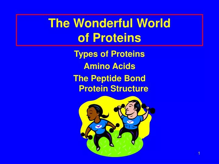 the wonderful world of proteins