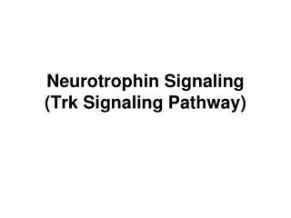 Neurotrophin Signaling (Trk Signaling Pathway)