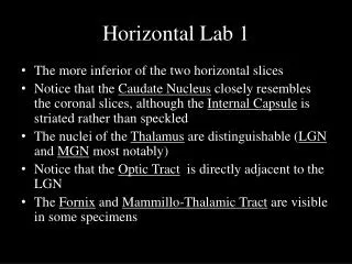 Horizontal Lab 1