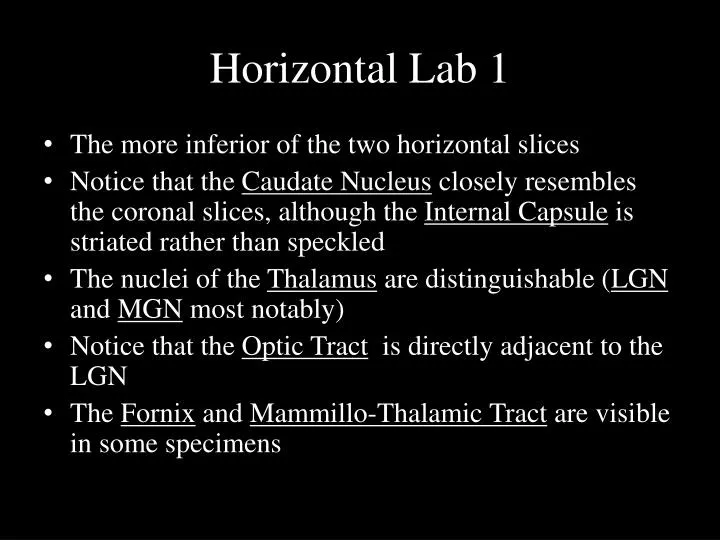 horizontal lab 1