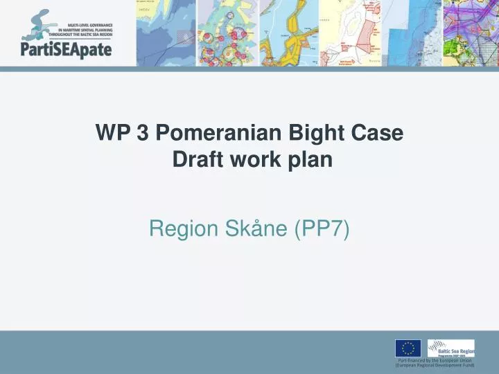 wp 3 pomeranian bight case draft work plan