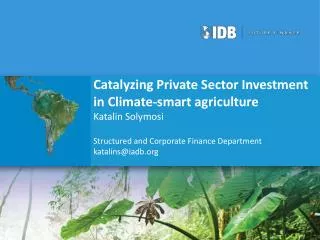 Catalyzing Private Sector Investment in Climate-smart agriculture Katalin Solymosi