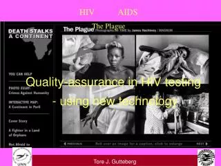 HIV AIDS The Plague